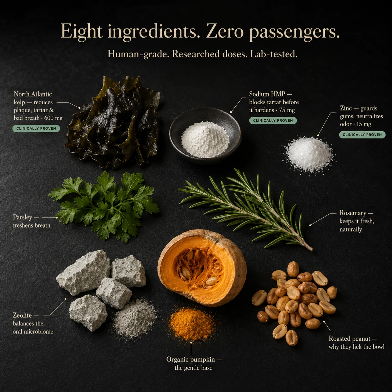 Eight ingredients, zero passengers. Annotated flat-lay of kelp, minerals, herbs, pumpkin, and roasted peanuts with doses and benefits
