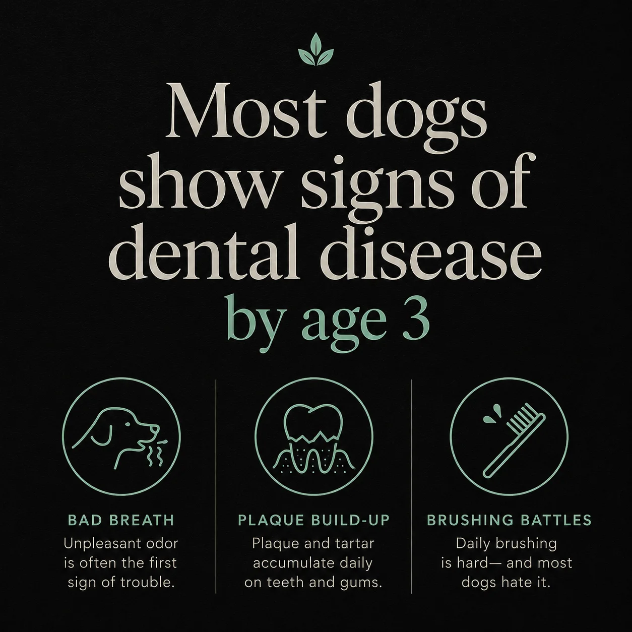 Most dogs show signs of dental disease by age 3: bad breath, plaque build-up, brushing battles